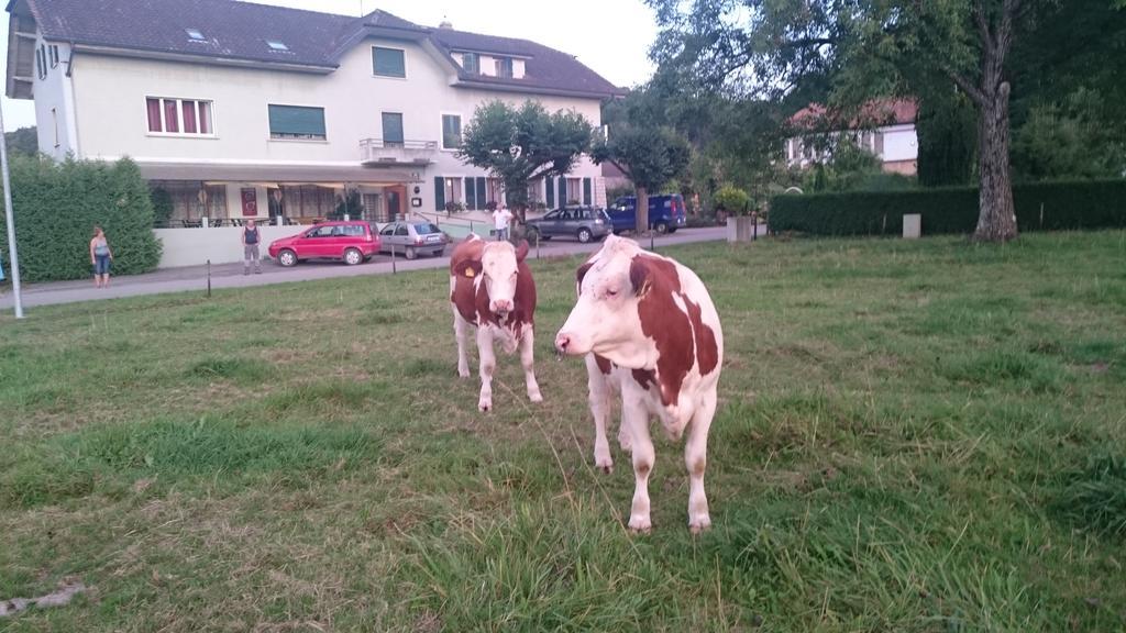 Hotel De La Gare, Vendlincourt エクステリア 写真